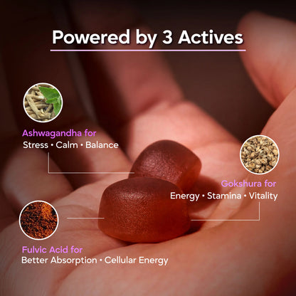 KSM-66 Ashwagandha Gummies + Vitamin D – Stress Support, Balance & Wellness