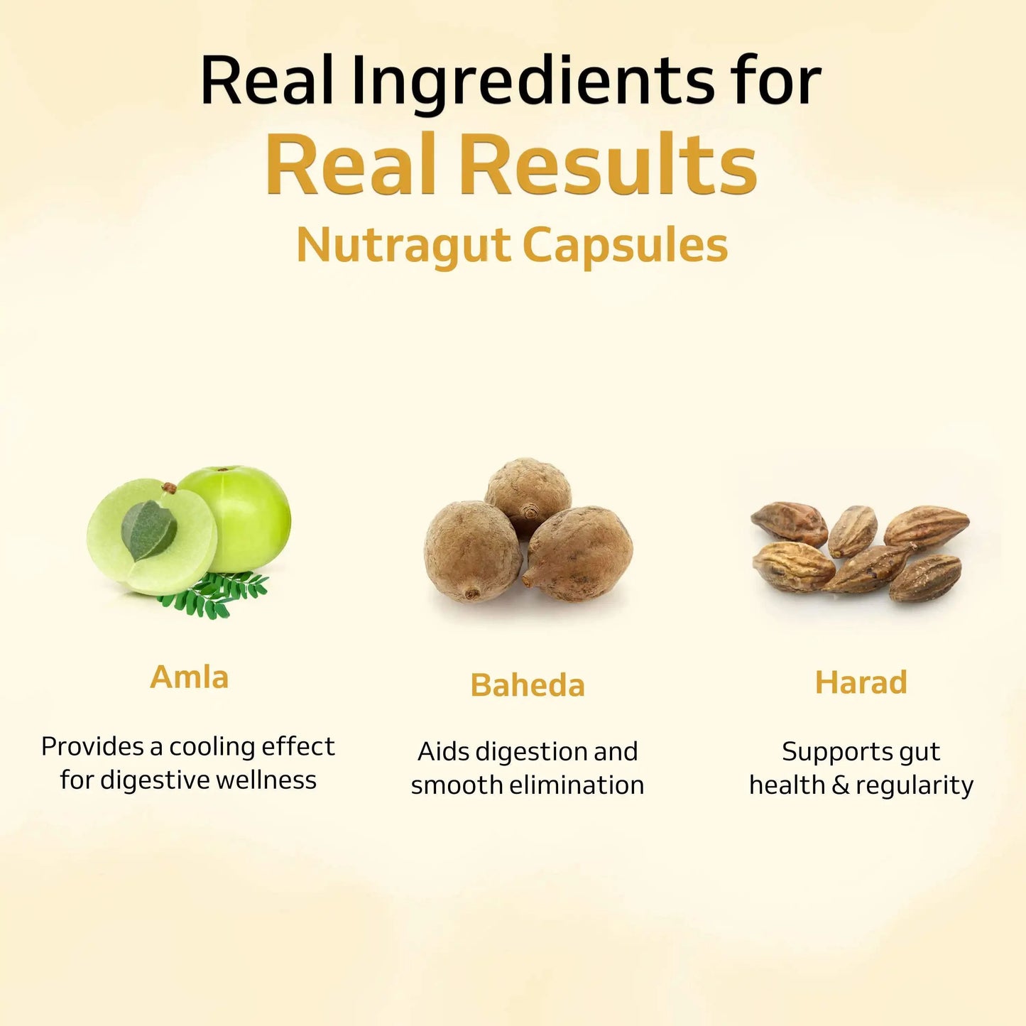 Digestive Balance Pack