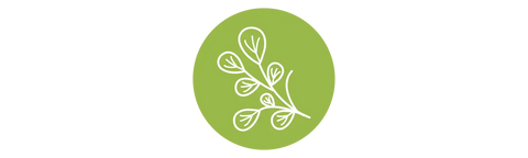 ORGANIC_INGREDIENTS