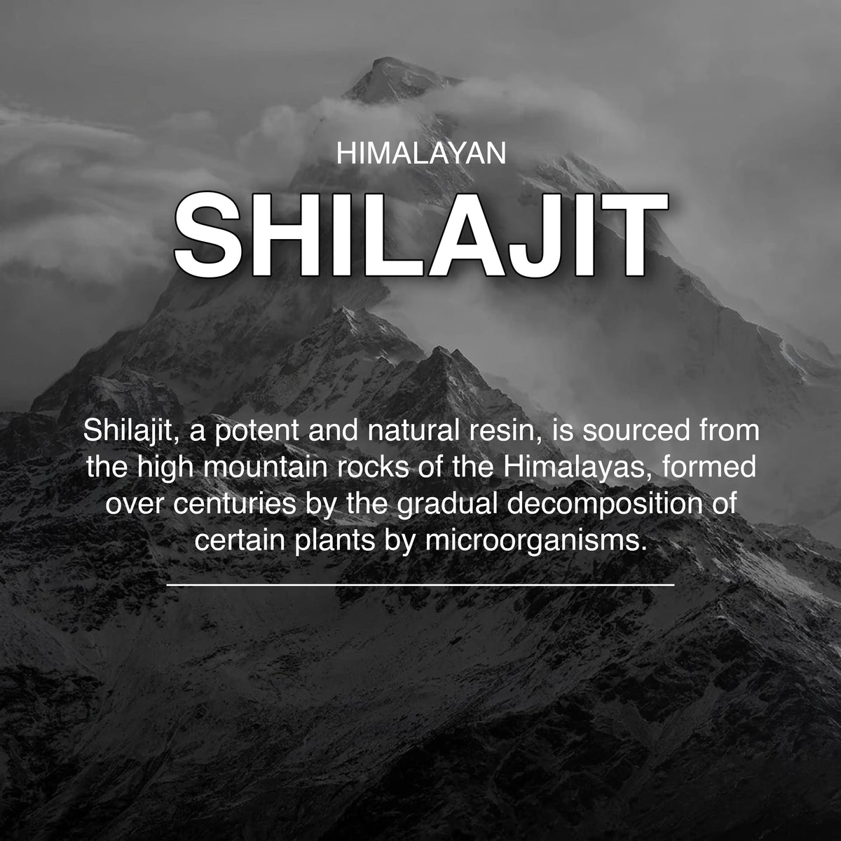 Shilajit Capsules – Pure Himalayan Wellness in Every Capsule
