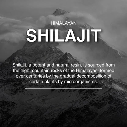 Shilajit Capsules – Pure Himalayan Wellness in Every Capsule