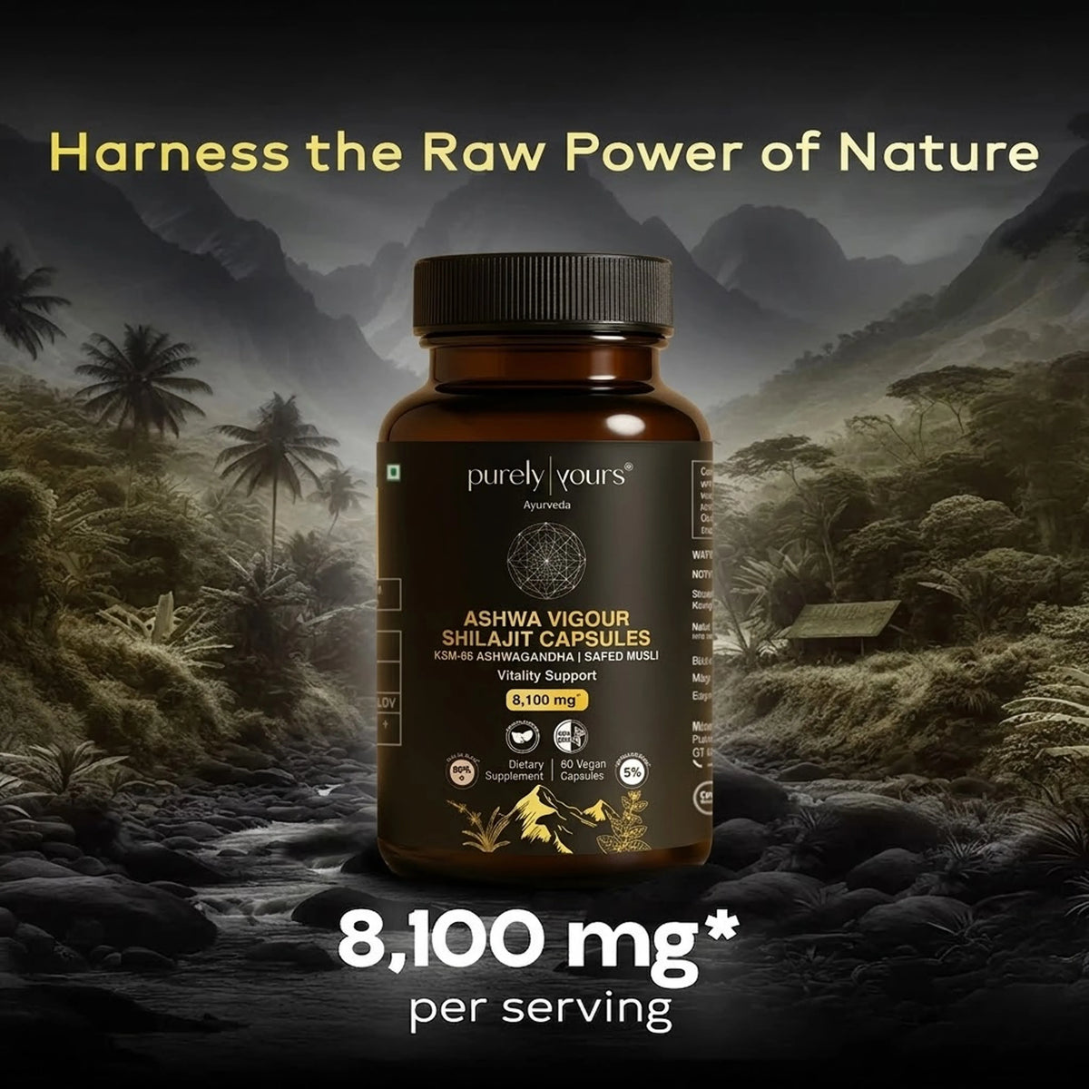 Ashwa Vigour Shilajit Capsules – Natural Energy & Daily Vitality
