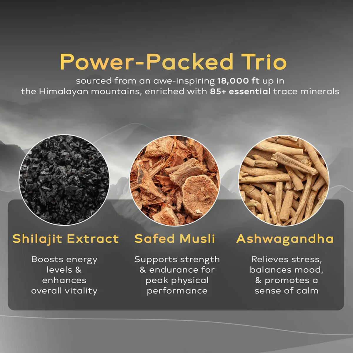 Ashwa Vigour Shilajit Capsules – Natural Energy & Daily Vitality
