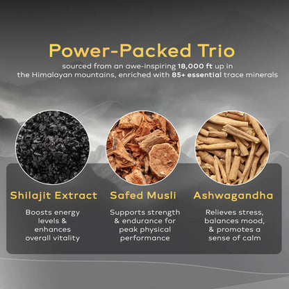 Ashwa Vigour Shilajit Capsules – Natural Energy & Daily Vitality