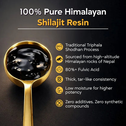 Shilajit Resin – Pure Himalayan Shilajit for Natural Energy (20g)