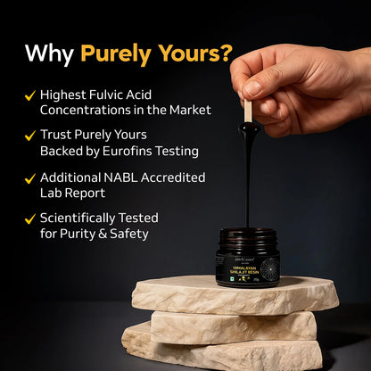 Shilajit Resin – Pure Himalayan Shilajit for Natural Energy (20g)