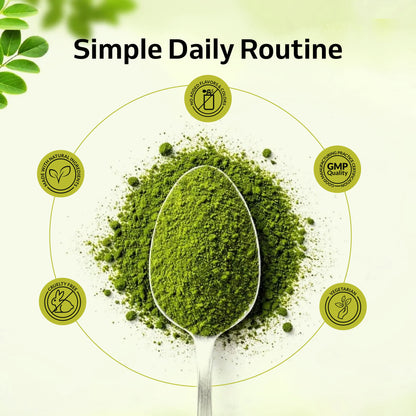 Moringa Powder – Plant Nutrition for Everyday Wellness