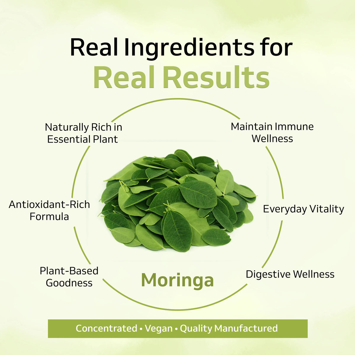 Moringa Extract Capsules – Everyday Nutrition & Natural Wellness