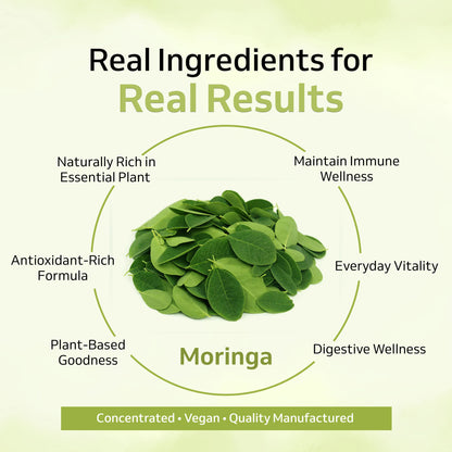 Moringa Extract Capsules – Everyday Nutrition & Natural Wellness