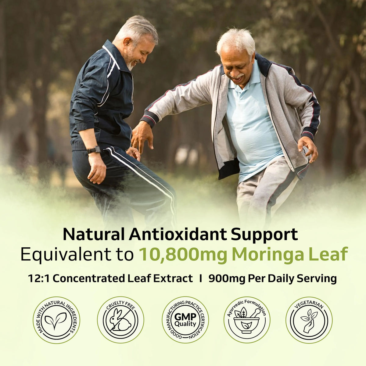 Moringa Extract Capsules – Everyday Nutrition & Natural Wellness