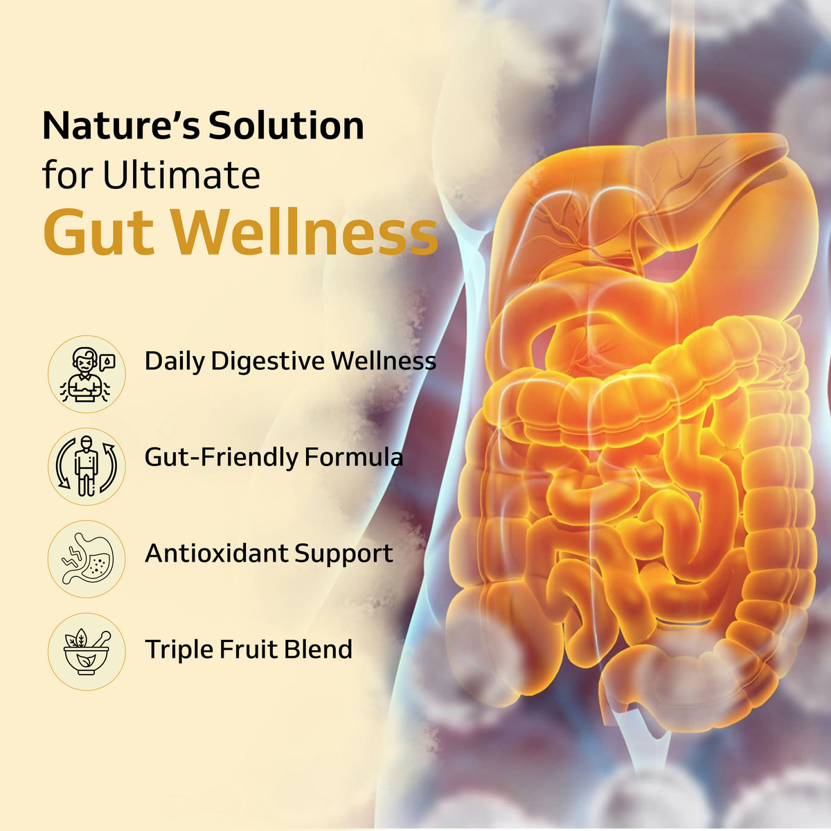 Nutra Gut Capsules – Daily Digestive & Gut Health Support