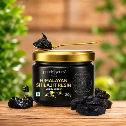 Shilajit Resin – Pure Himalayan Shilajit for Natural Energy (20g)